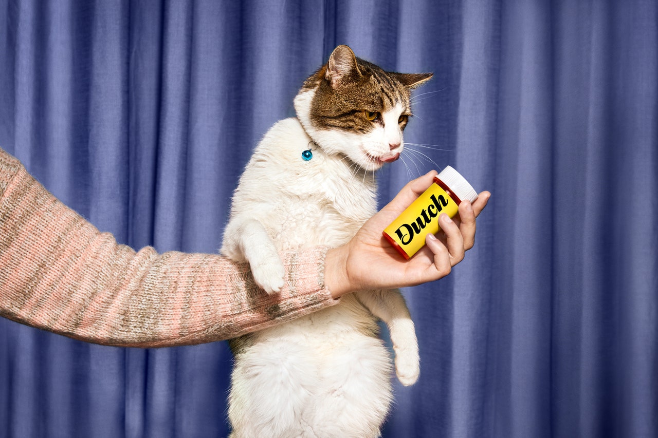 Arm holding bottle of medicine labeled Dutch next to excited cat