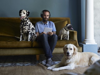 Man reading on tablet on couch next to three dogs